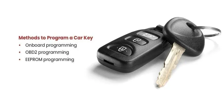 Key Fob Programming in Gainesville, FL—What It Costs and Who to Call